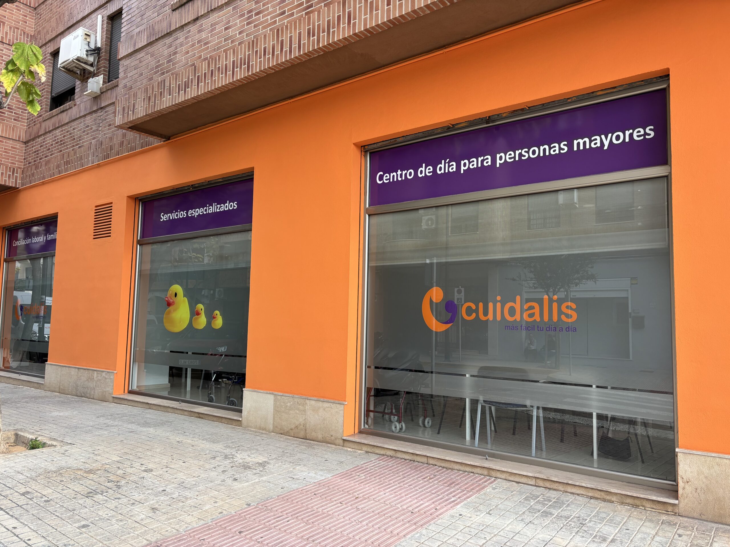 Imagen 1 Cuidalis
